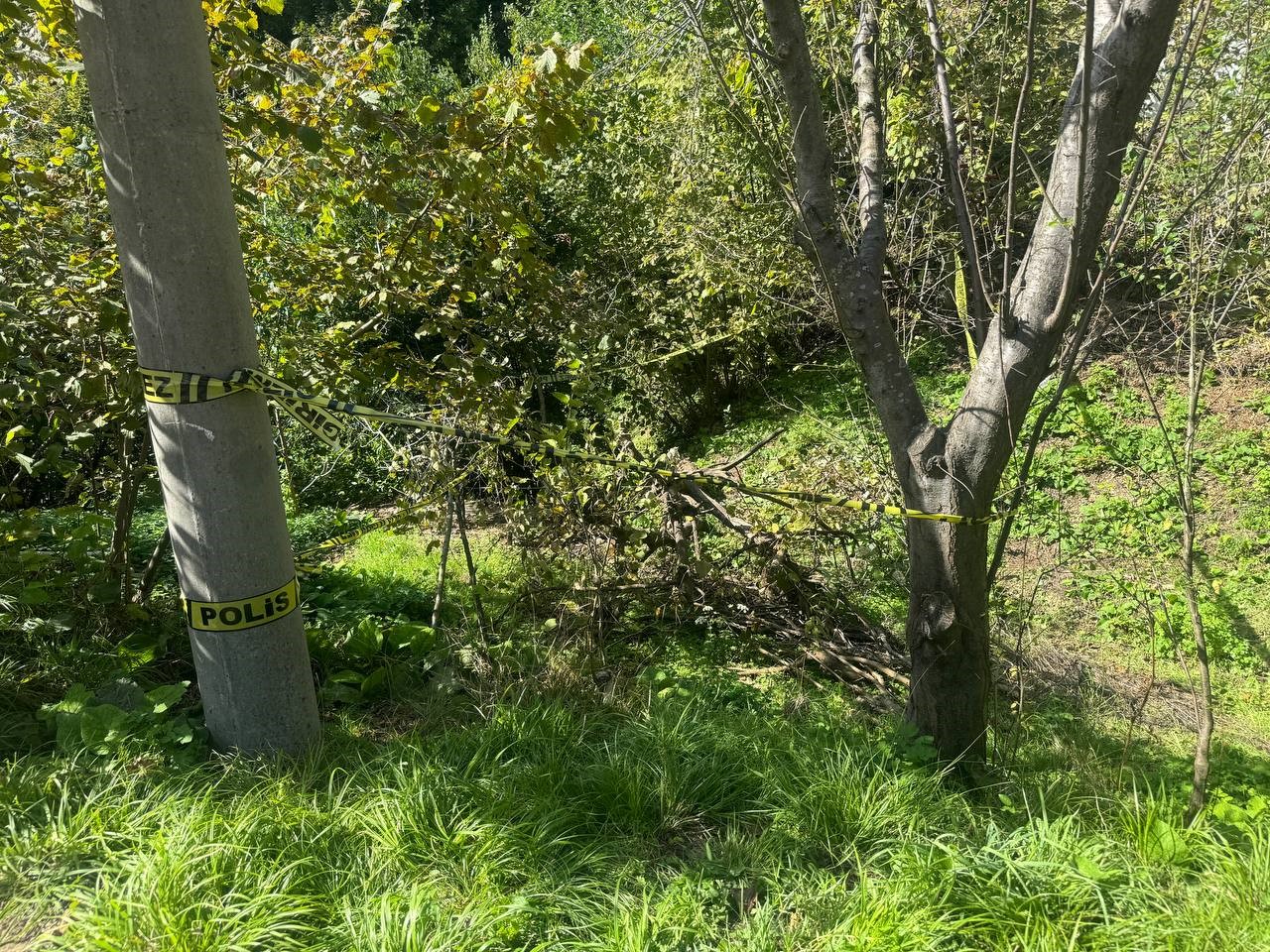 Bahçesindeki Yaşlı Kadını Domuz Sanıp Öldürdü (2)