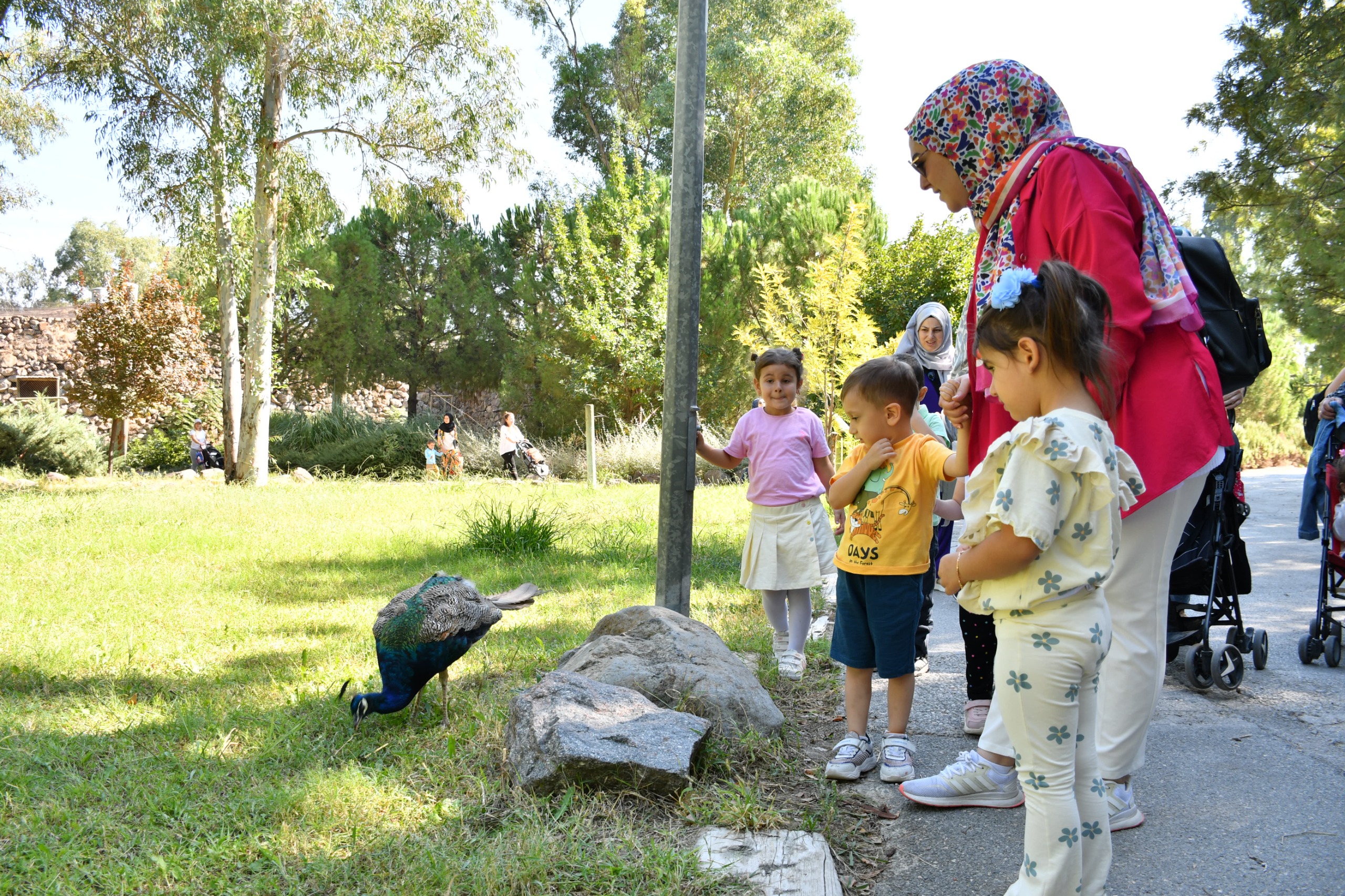 Manisalı Minikler (1)