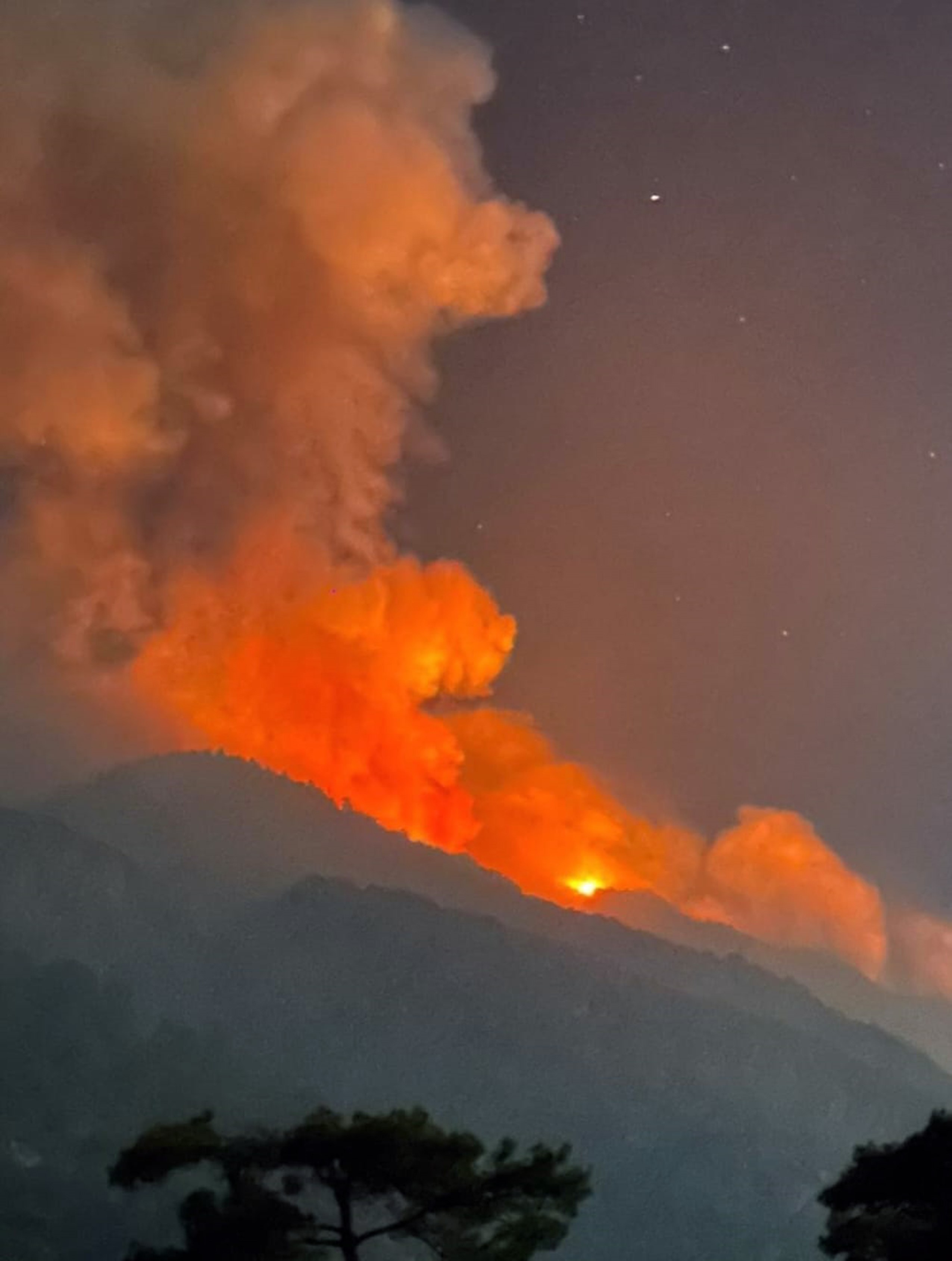 Muğla'daki Yangın Üç Gündür Devam Ediyor! (2)