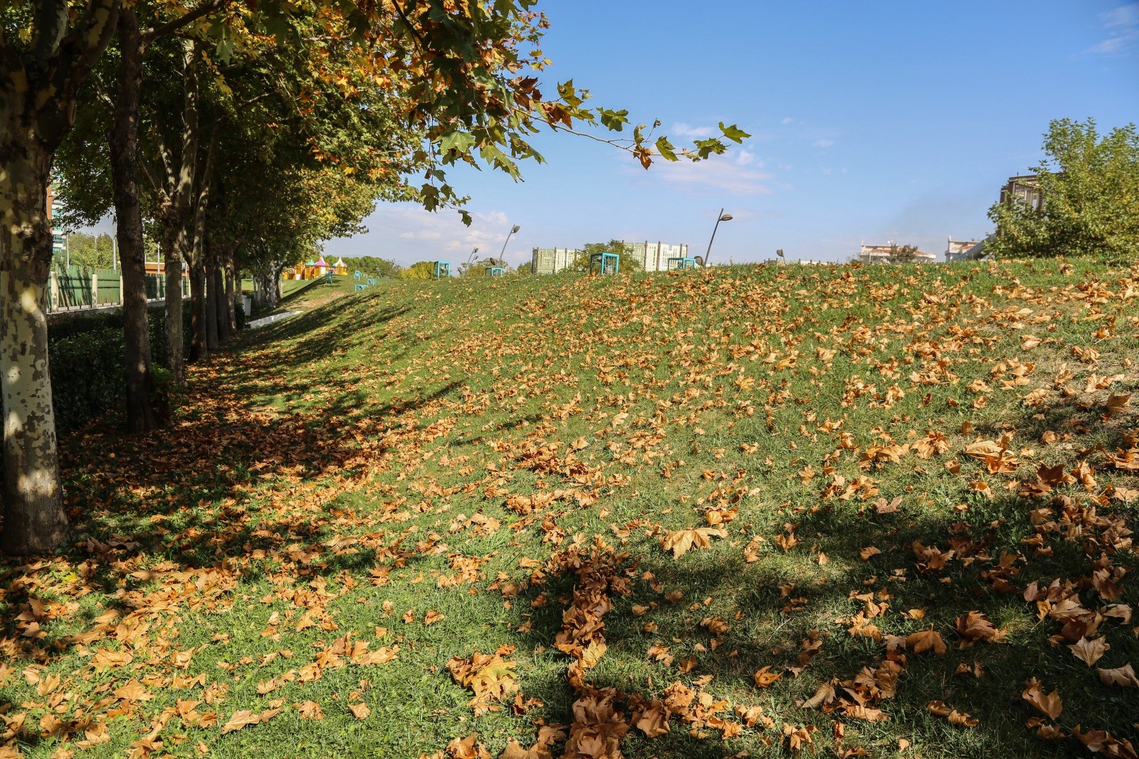 Kent Park'ta Sonbahar Manzaraları Mest Etti (5)