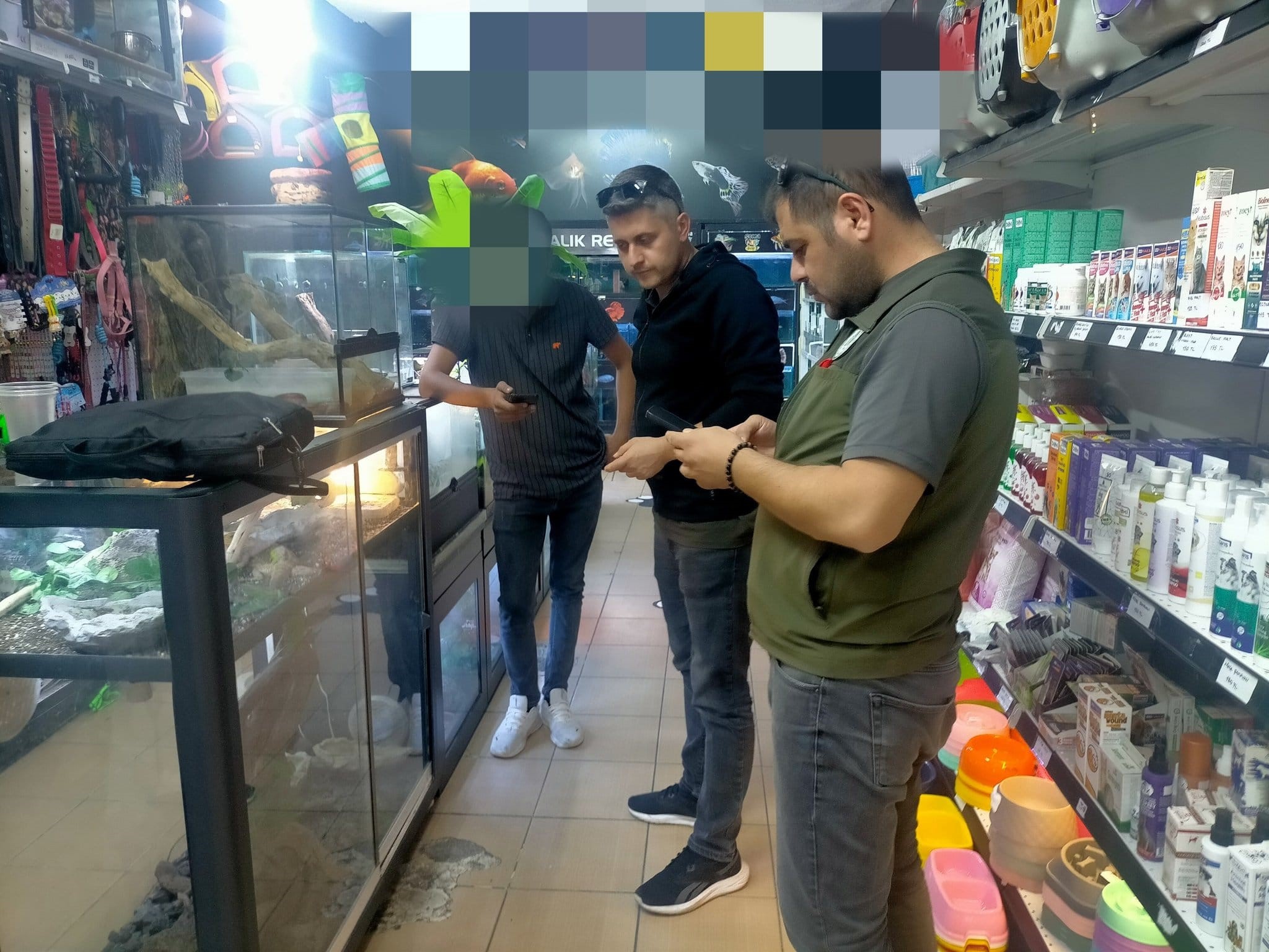 Manisa'da Mısır Yılanı Ve Sakallı Ejder Satışı Yapan Petshopa Ceza (5)