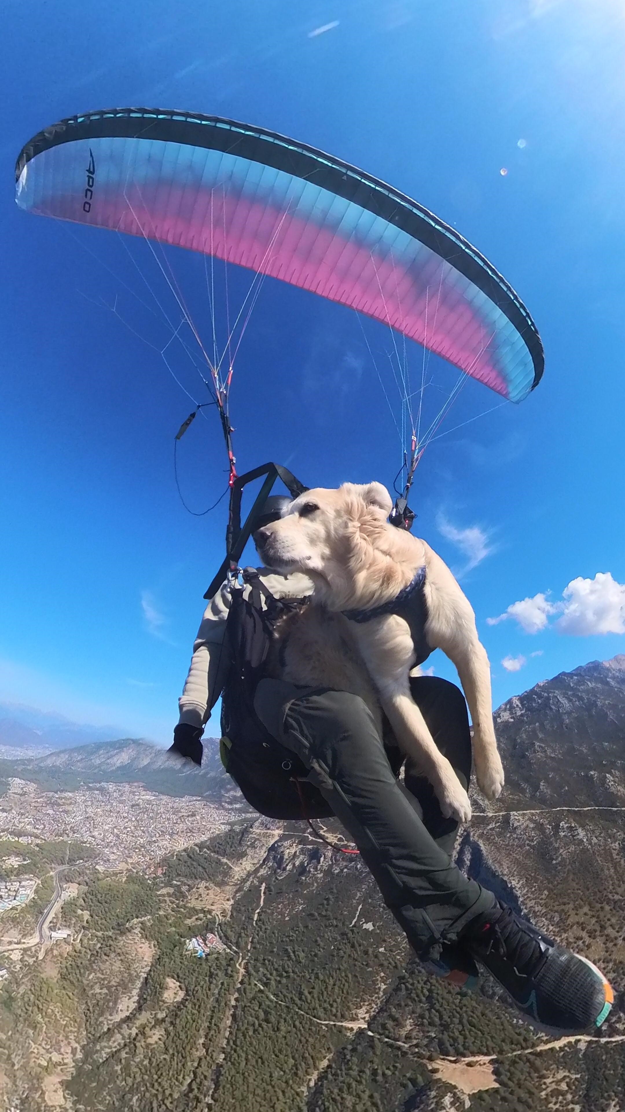 Köpeğiyle Birlikte Bin 700 Metreden Atladı (2)