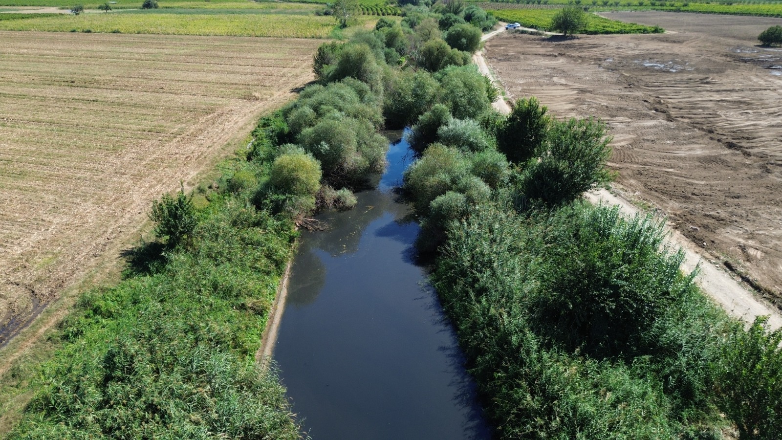 Gediz Nehri (3)