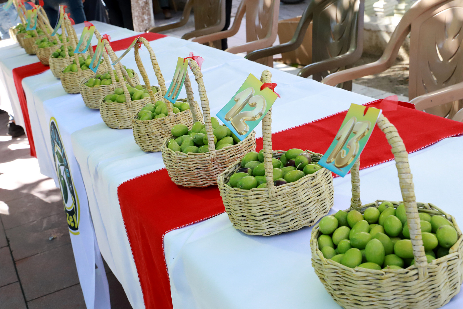 Manisa’da 12.Zeytin Hasat Şenliği (5)