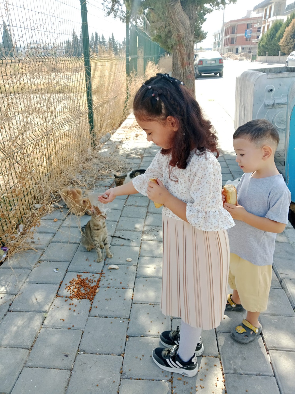 Minik Öğrenciler Sokak Hayvanlarına Kulübe Yaptı (3)