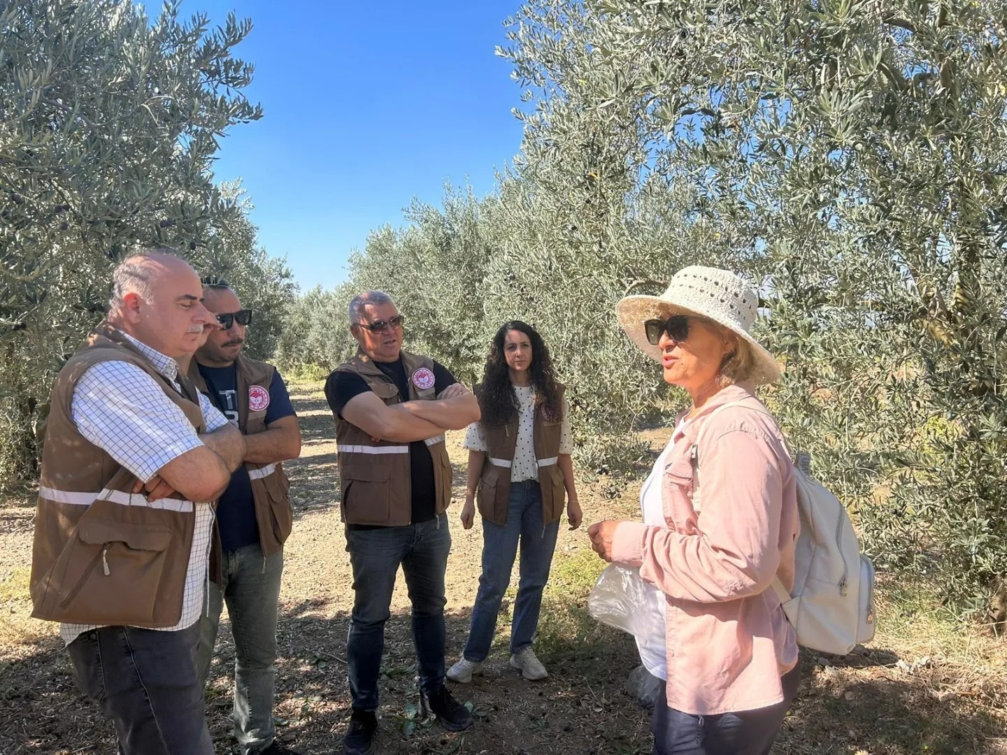 Zeytin Dökümleri Incelendi (3)