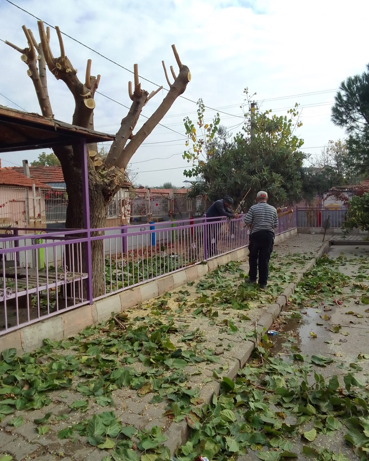 Ahmetli’de Yoğun Mesai İlçe Genelinde Bakım Çalışması Yapıldı (6)