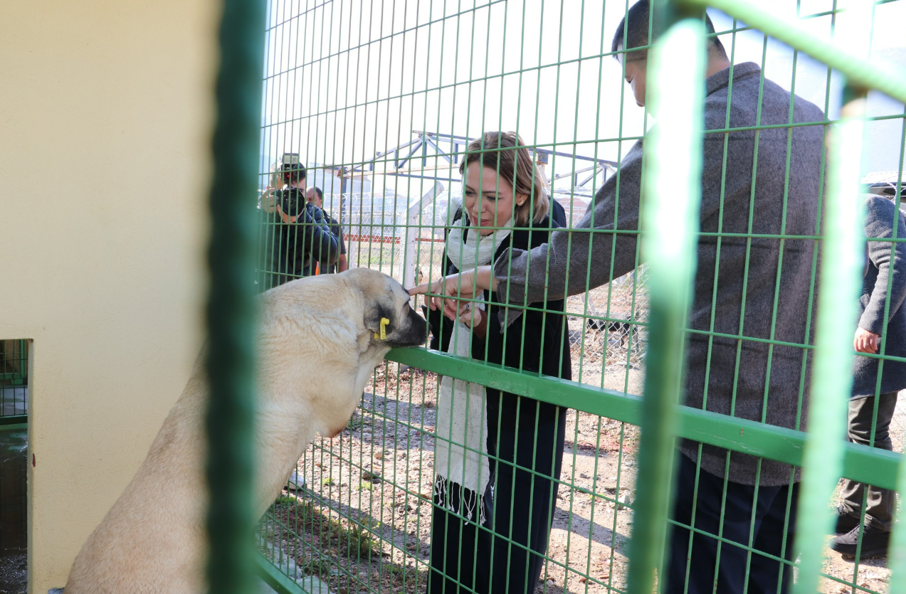 Sokak hayvanları komisyonu Kırkağaç’ta toplandı