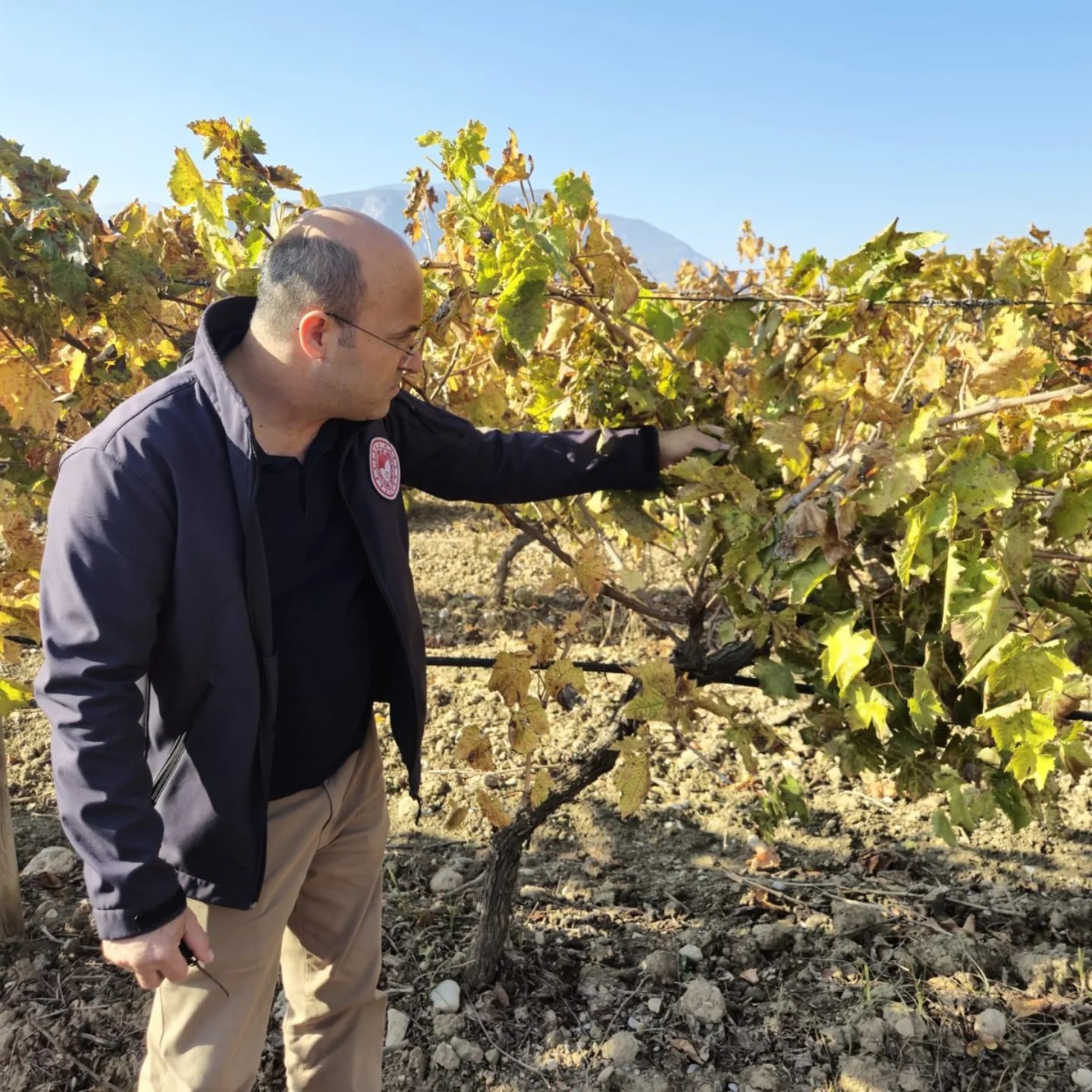 Manisa Üzüm Platformu, Bağlarda Arazi Kontrolü Ve Çiftçi Ziyaretlerine Devam Ediyor (5)