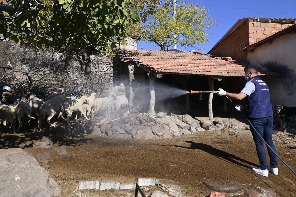 Manisa’da ‘Mavi Dil’ Hastalığıyla Mücadelede Ediliyor (3)