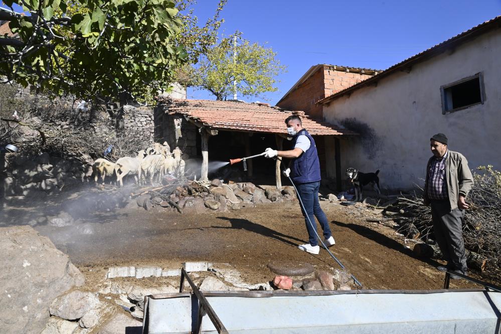 Manisa’da ‘Mavi Dil’ Hastalığıyla Mücadelede Ediliyor (4)