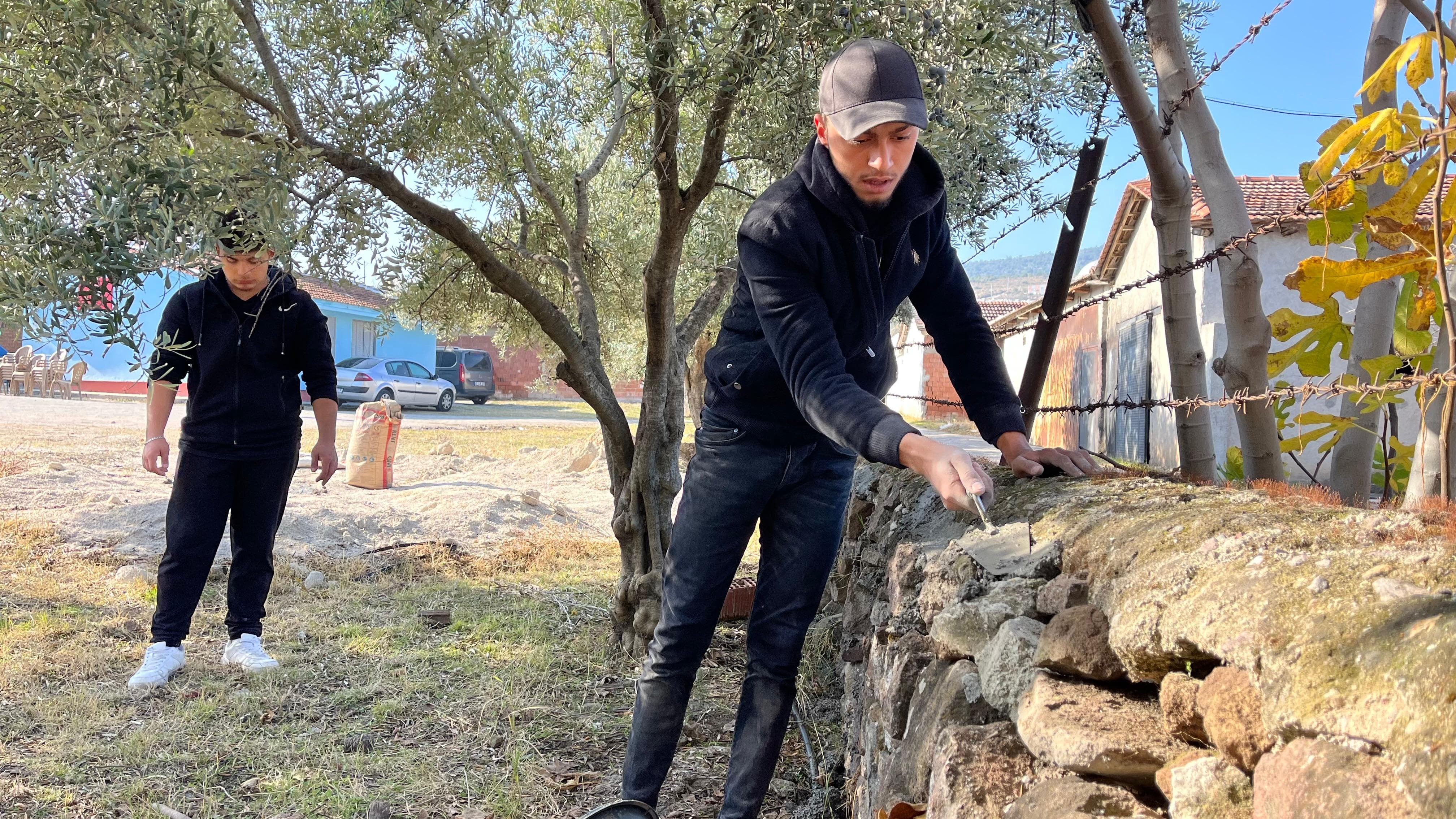 Öğrenciler Okul Bahçesinde Zeytin Hasadı Yaptı (1)