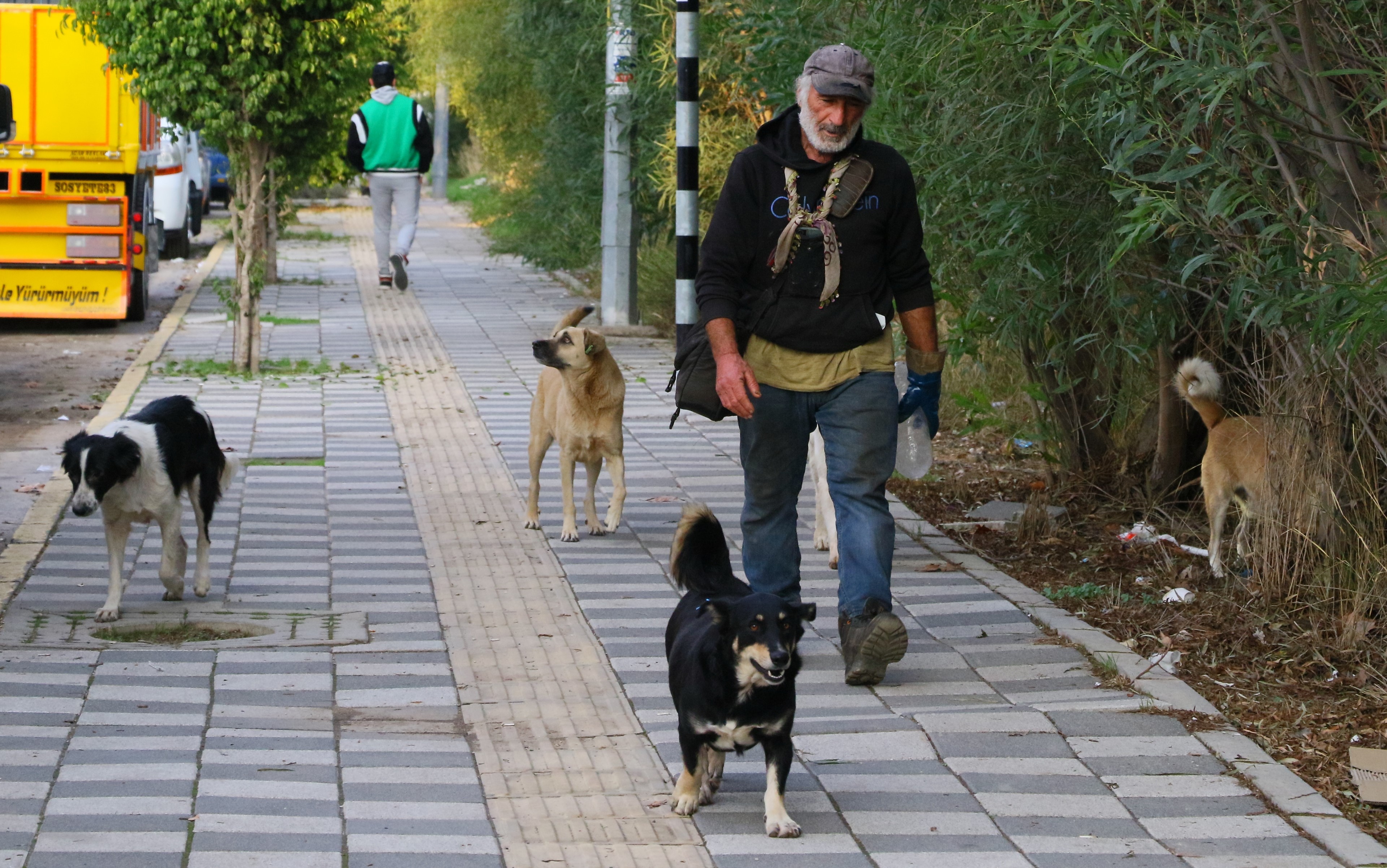 Ölürken Gözyaşlarına Boğulduğu Köpeğini Yaşadığı Barakaya Gömdü (3)