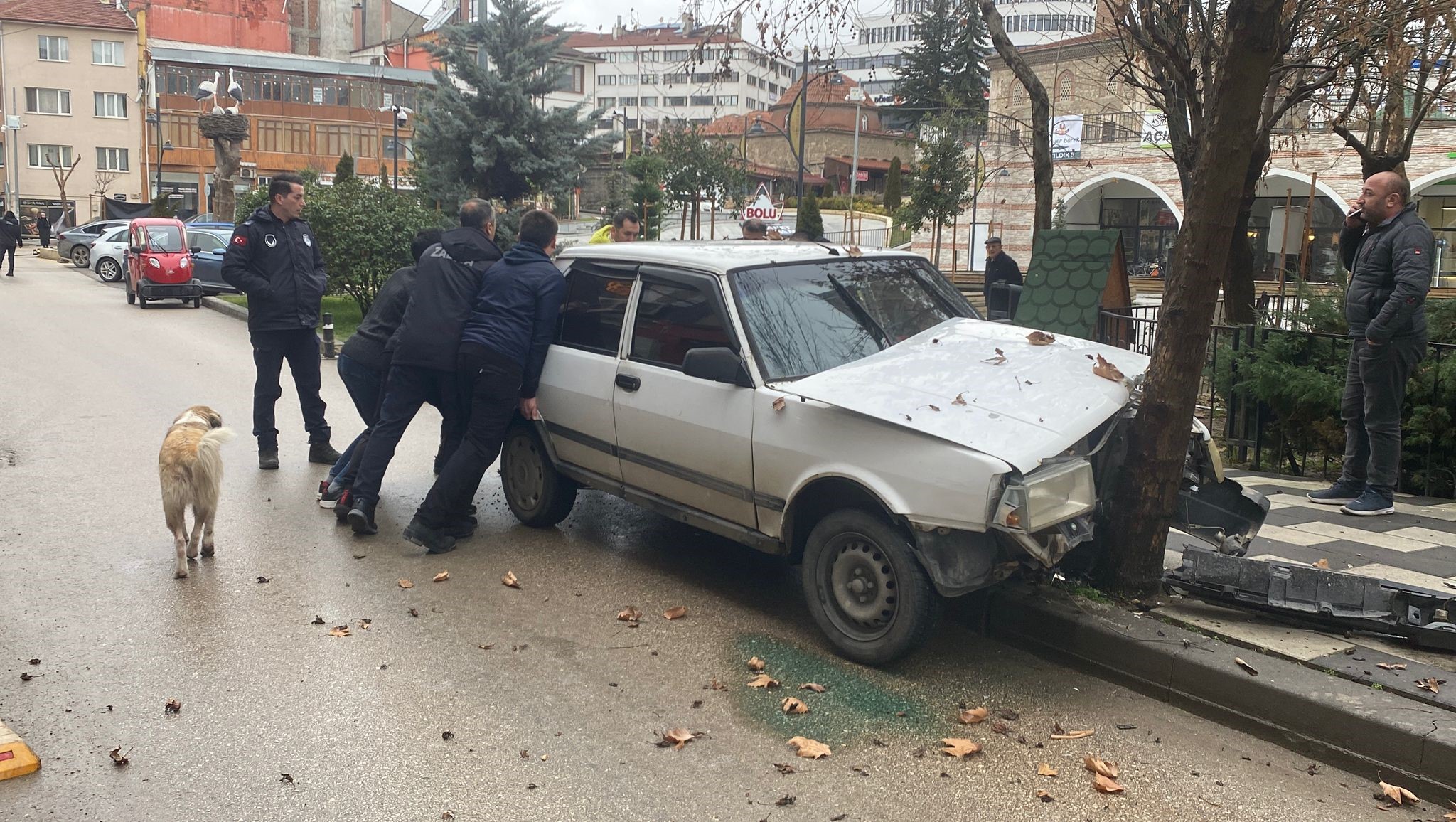 Köpeğe Çarpmamak Için Ağaca Çarptı (2)