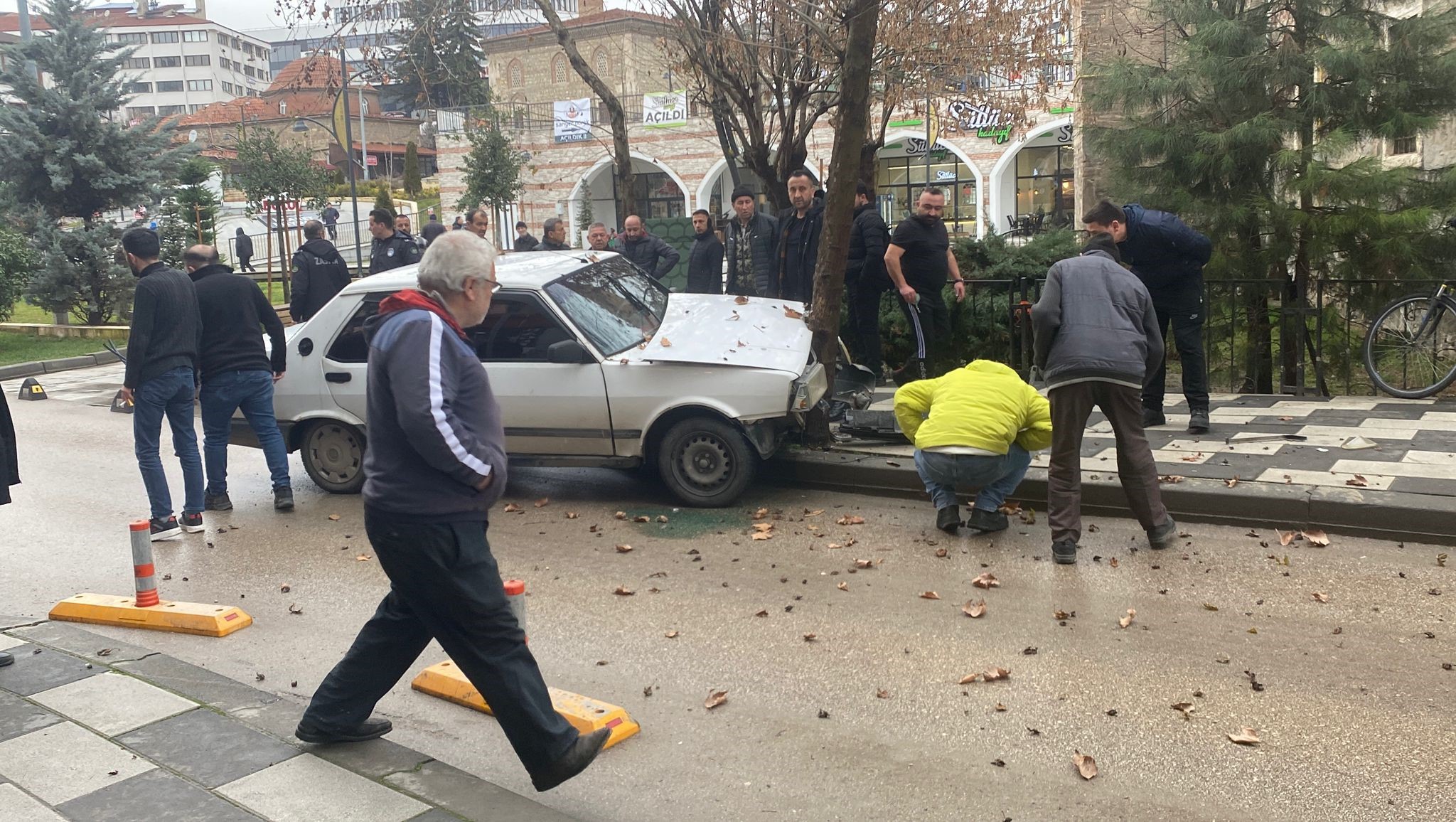 Köpeğe Çarpmamak Için Ağaca Çarptı (3)