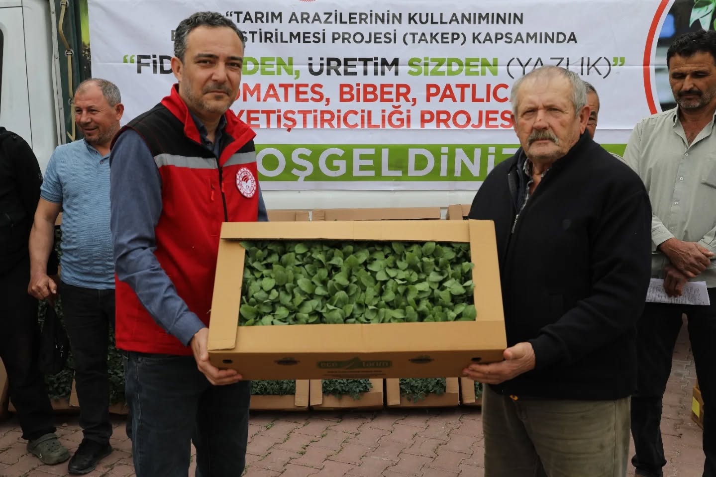 Manisa'da Sebze Hamlesi (1)-1