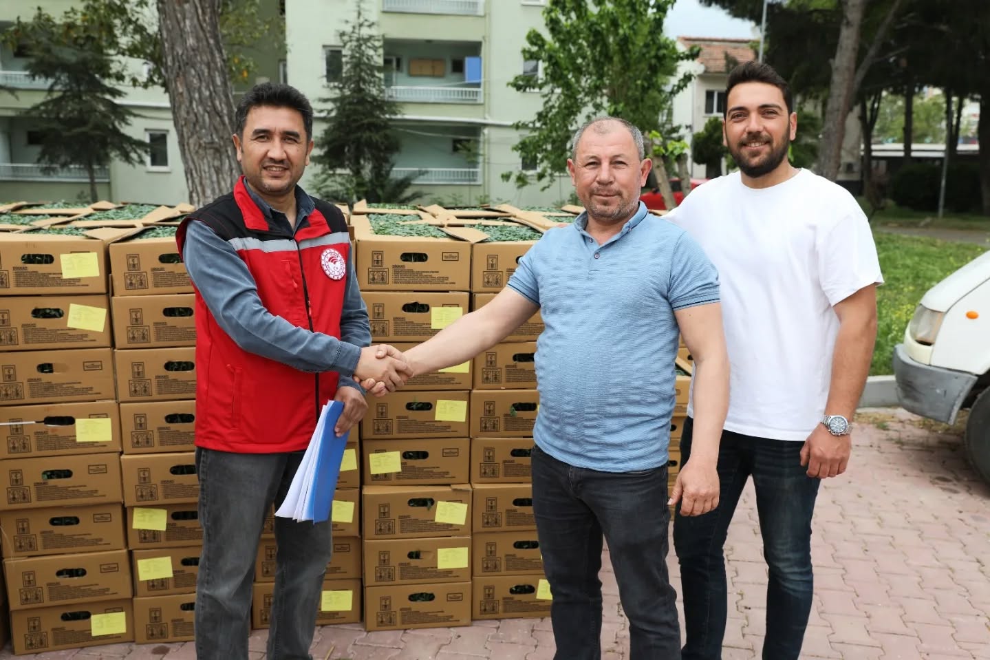 Manisa'da Sebze Hamlesi (6)