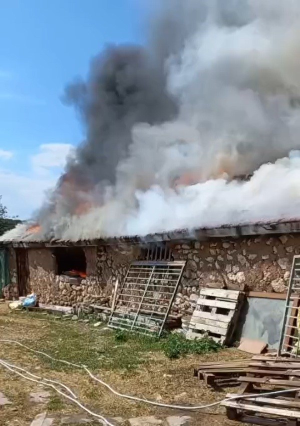 Farelerin Kabloları Kemirdi, Yangın Çıktı! (2)