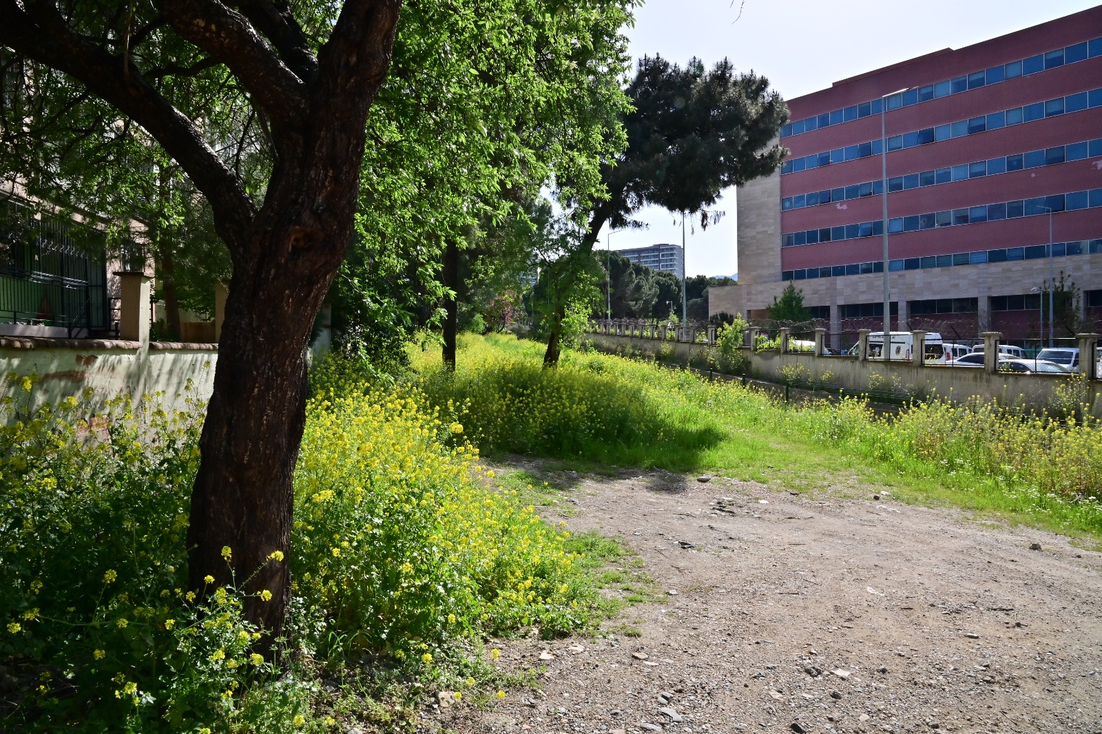 Büyükşehir’den Bozköy Deresi’ne Yeni Yaşam Alanı (7)