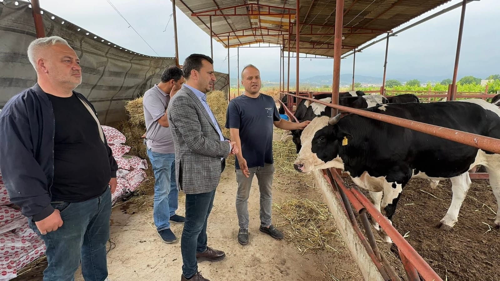 Kurbanlık Satışında Yeni Dönem Taksitle Kuzu, Kartla Koç! (1)-1