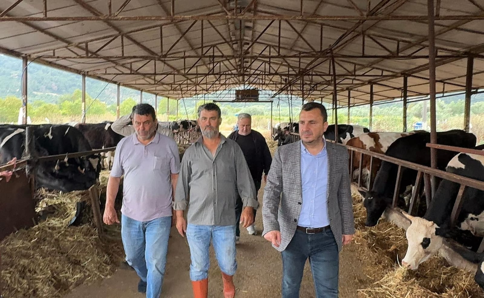 Kurbanlık Satışında Yeni Dönem Taksitle Kuzu, Kartla Koç! (2)