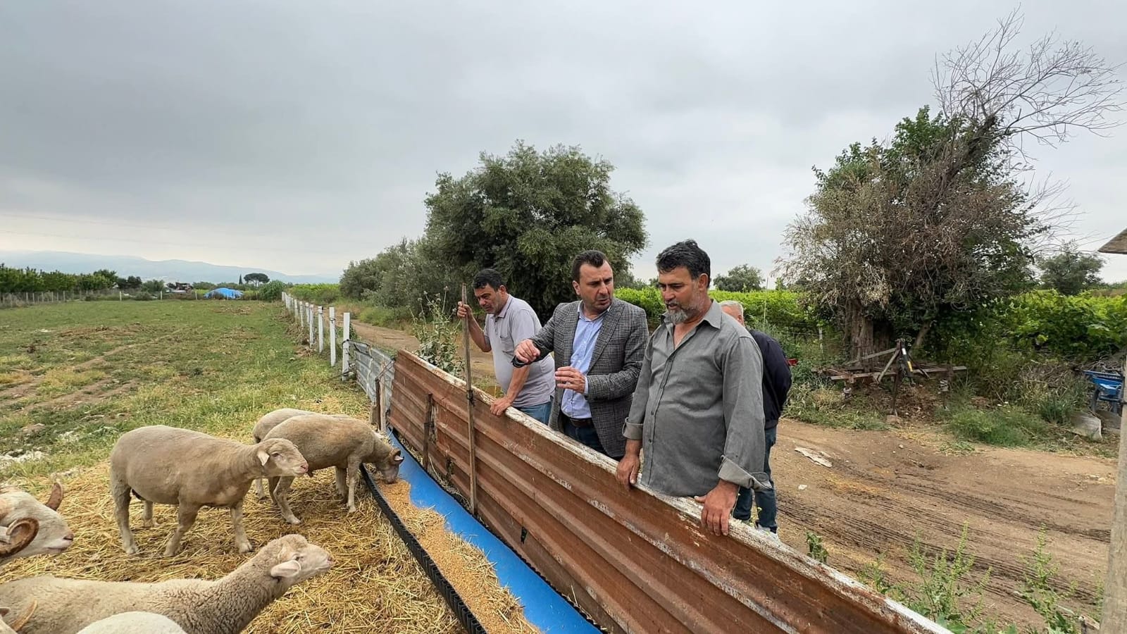 Kurbanlık Satışında Yeni Dönem Taksitle Kuzu, Kartla Koç! (3)