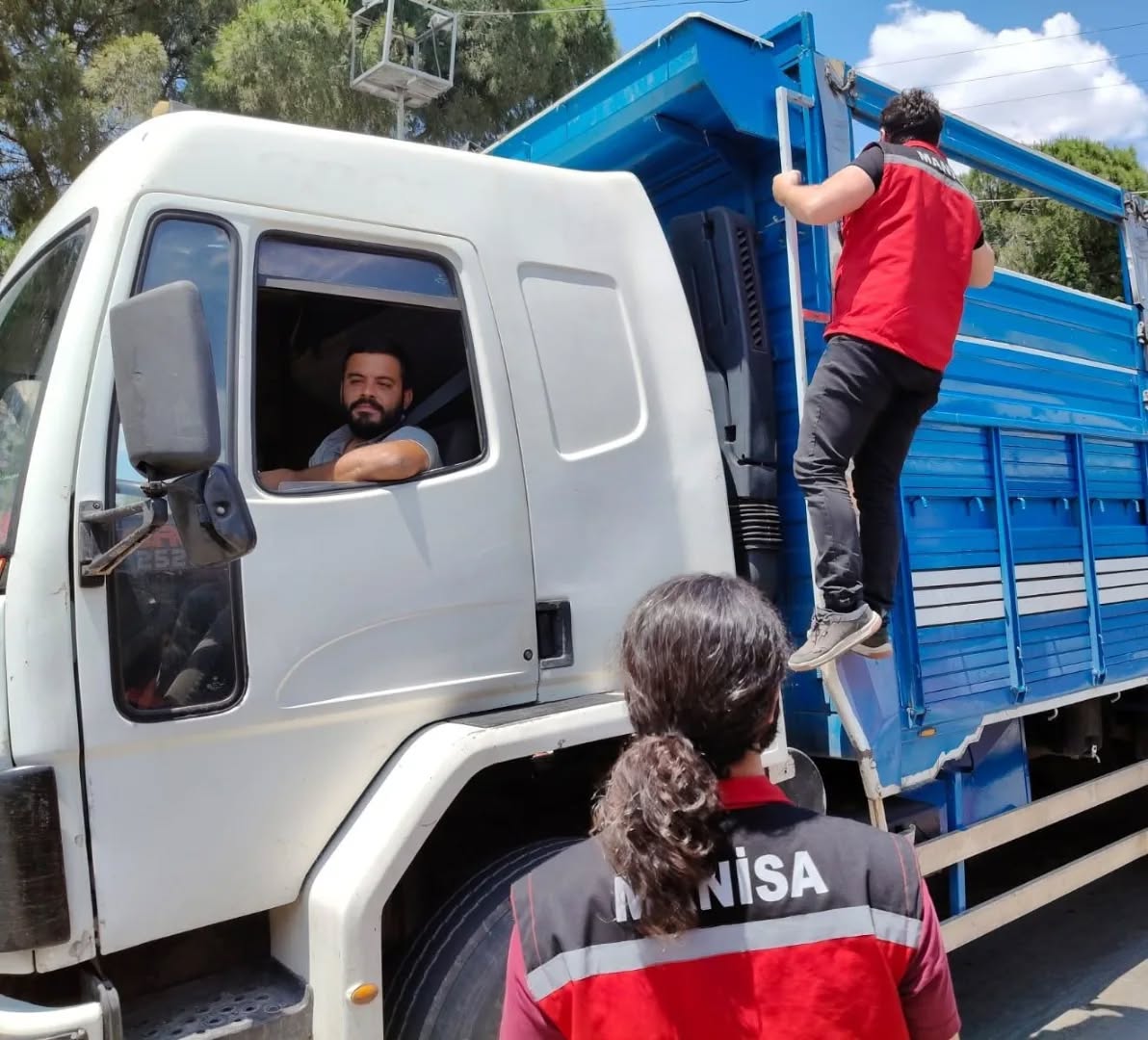 Manisa’da Kurbanlık Sevkiyatlarına Sıkı Denetim Aşısız Ve Belgesiz Hayvanlara Geçit Yok (3)