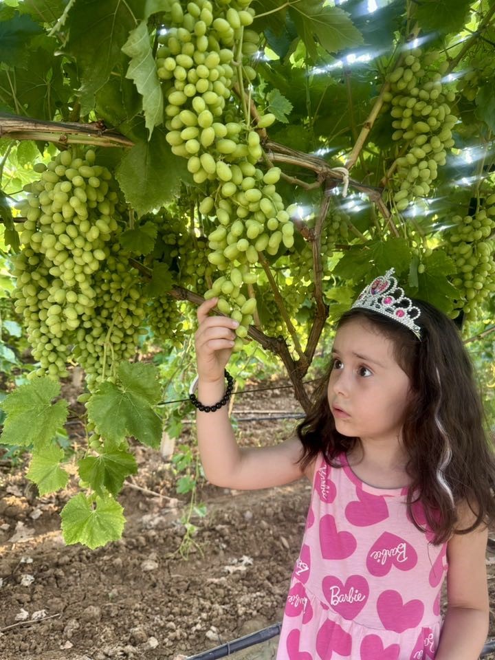 Bu Fotoğrafı Bütün Manisa Konuşuyor (2)