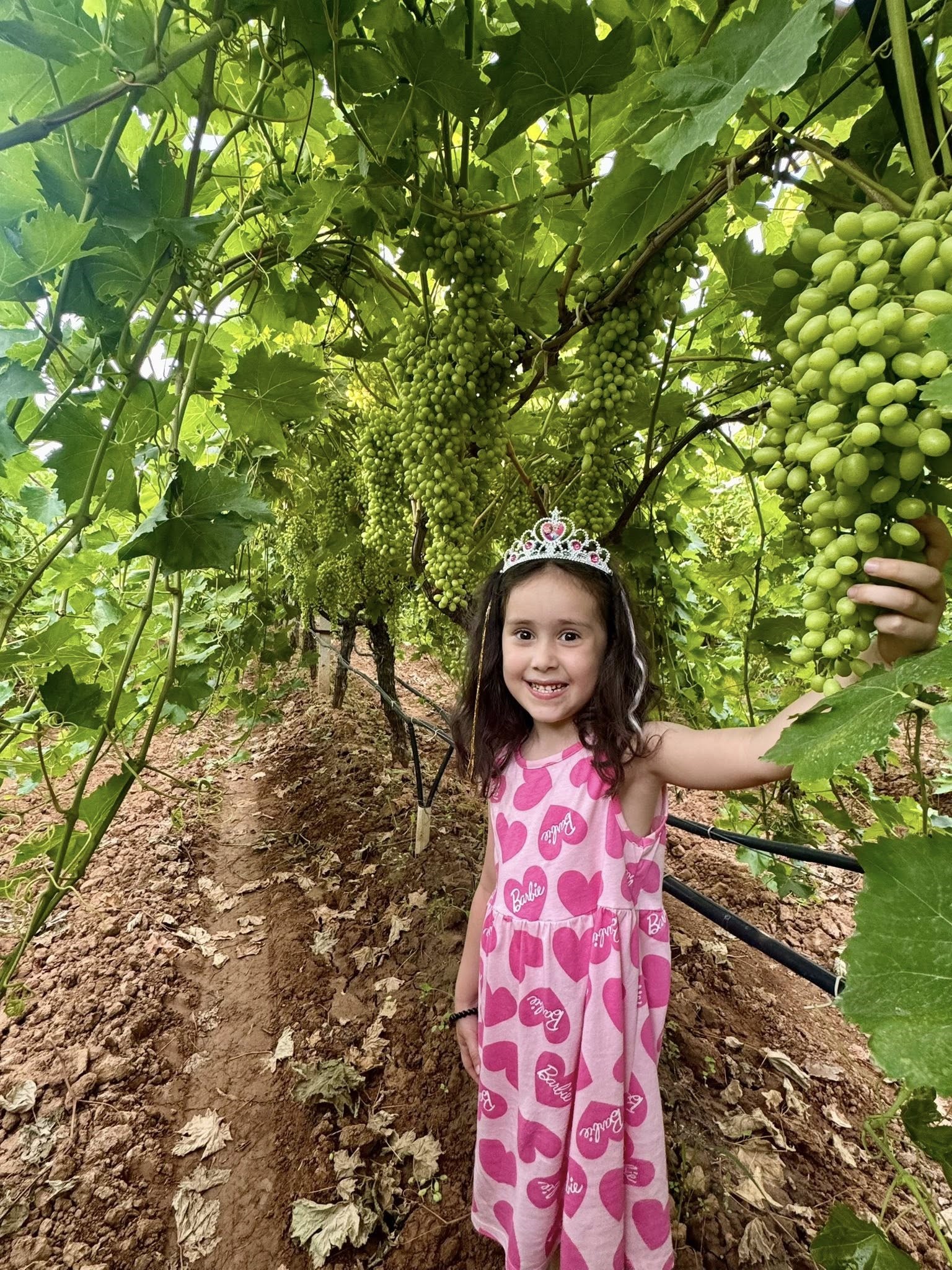 Bu Fotoğrafı Bütün Manisa Konuşuyor (3)