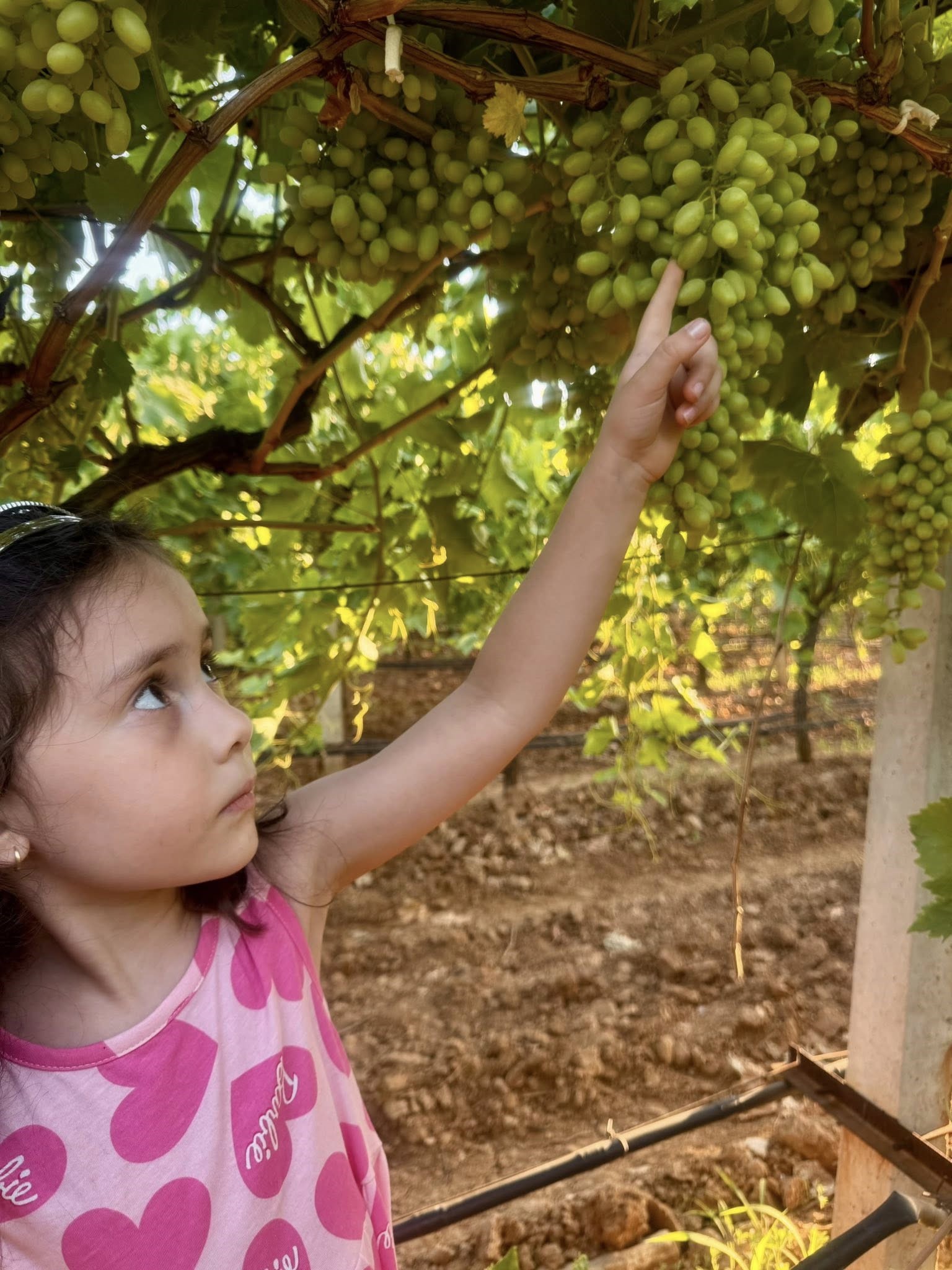 Bu Fotoğrafı Bütün Manisa Konuşuyor (4)