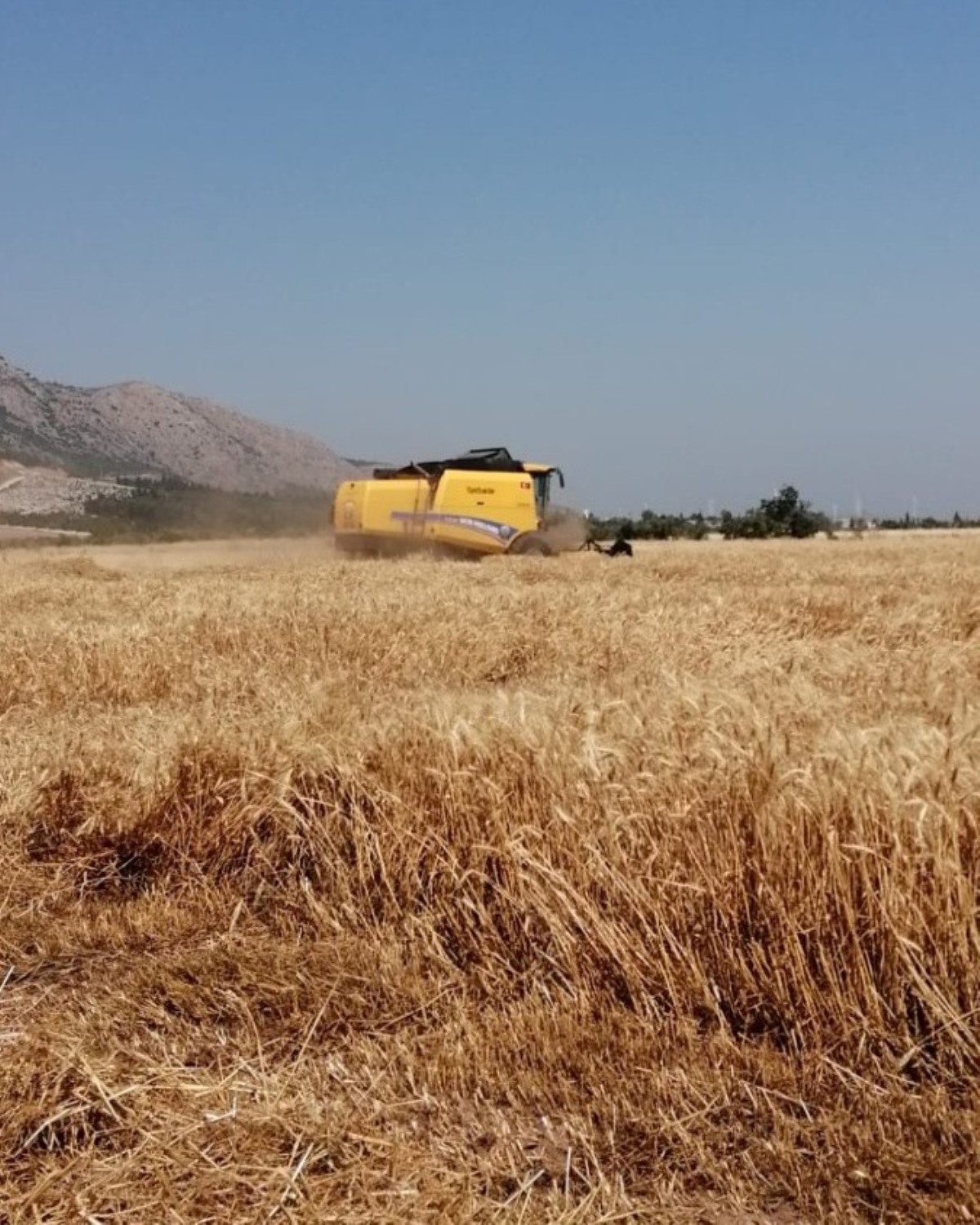 Tarımda Kritik Dönem Bunu Yapmak Yasak (2)