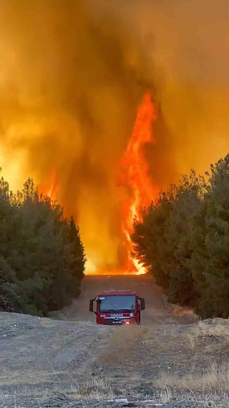 Alevlerin Arasında Kalan Orman Ekibi