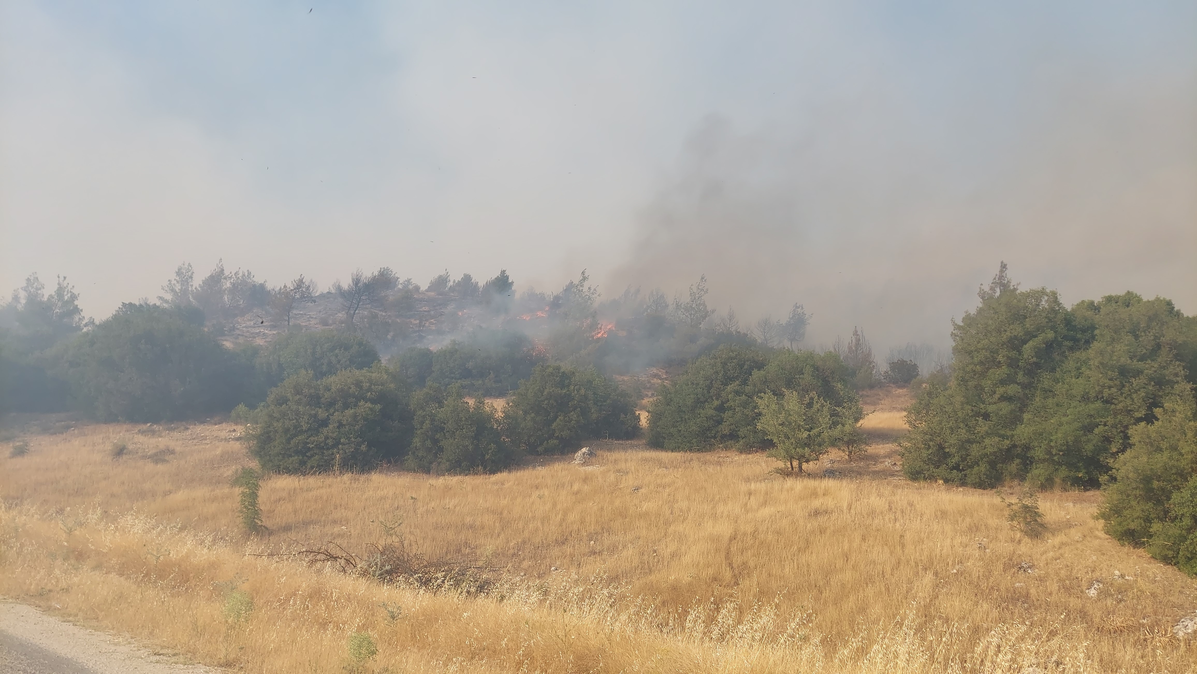 Kula’daki Orman Yangını Için Ekipler Ve Vatandaşlar Seferber Oldu (2)