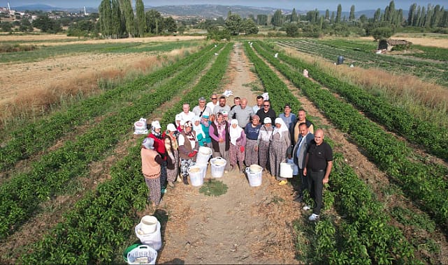 Manisa'da O Rakam Konuşuluyor Bu Iddia Ortalığı Karıştırır (2)
